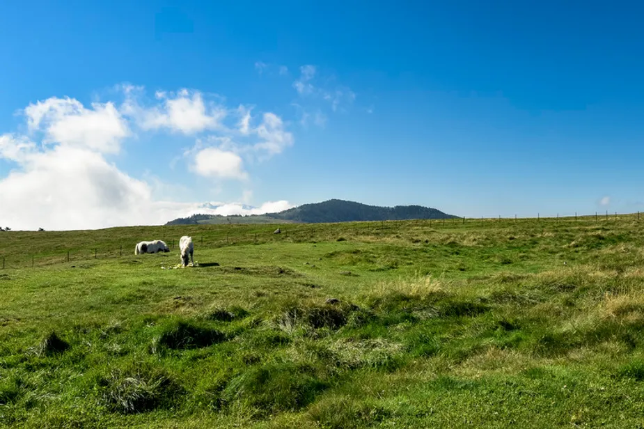熊野三山に近いホテル・旅館6選！一人でも泊まれる熊野古道でおすすめのお宿をご紹介！