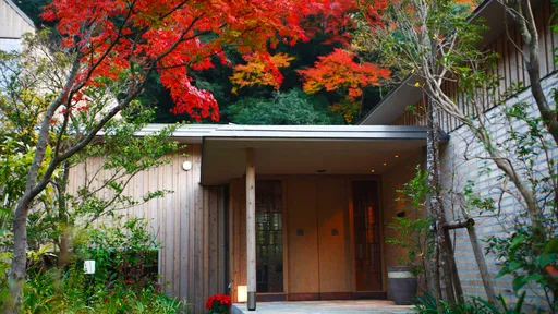 北郷　音色香の季　合歓のはな