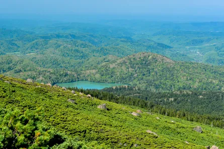 芦ノ湖温泉周辺の子連れで宿泊できる宿5選！赤ちゃん連れにぴったりな宿もご紹介！